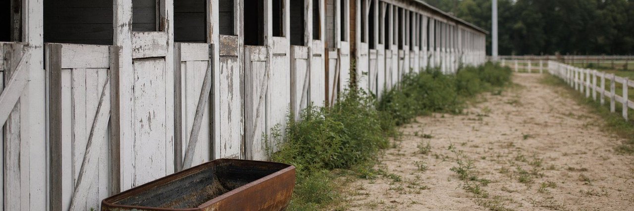A derelict racetrack backstretch: a row of empty wooden stable barns with peeling paint and open stall doors, weeds through the sand of the horse path. (AI-generated image)