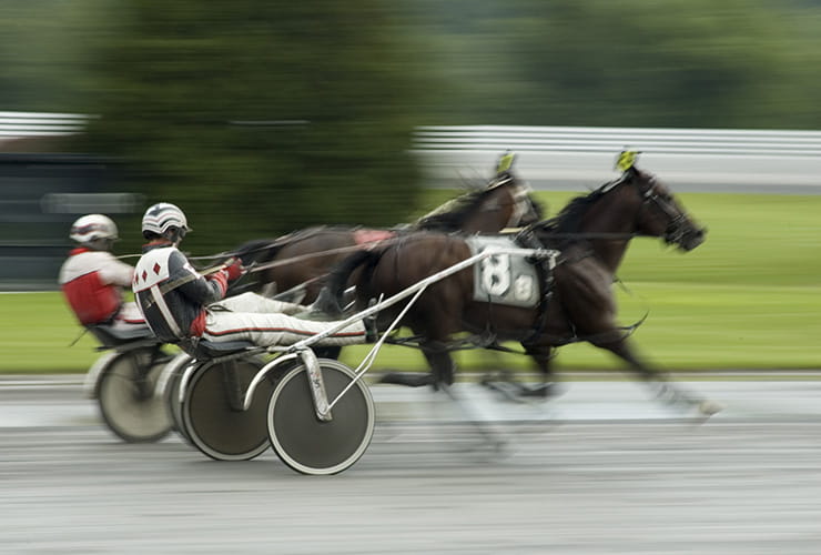 Harness horse race in progress